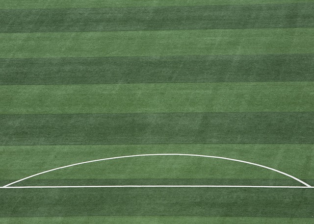 最受欢迎的足球战术体系